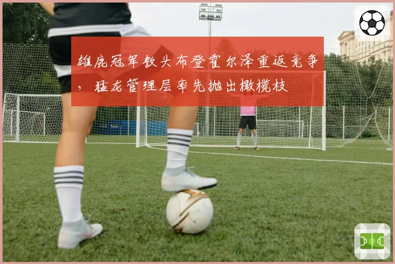 雄鹿冠军教头布登霍尔泽重返竞争，猛龙管理层率先抛出橄榄枝