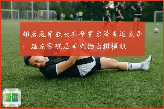 雄鹿冠军教头布登霍尔泽重返竞争，猛龙管理层率先抛出橄榄枝